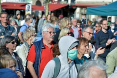 Wahlkampfendspurt der Grünen