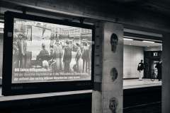 20250508_HDH_9296