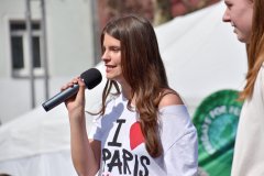 Demo für erneuerbare Energien