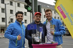 Europawahl 24 Zollstock