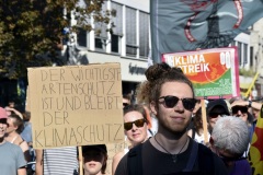 Globaler Klimastreik