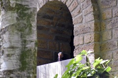 Zoo Köln